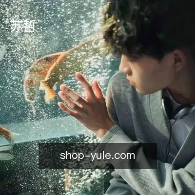 苏哲